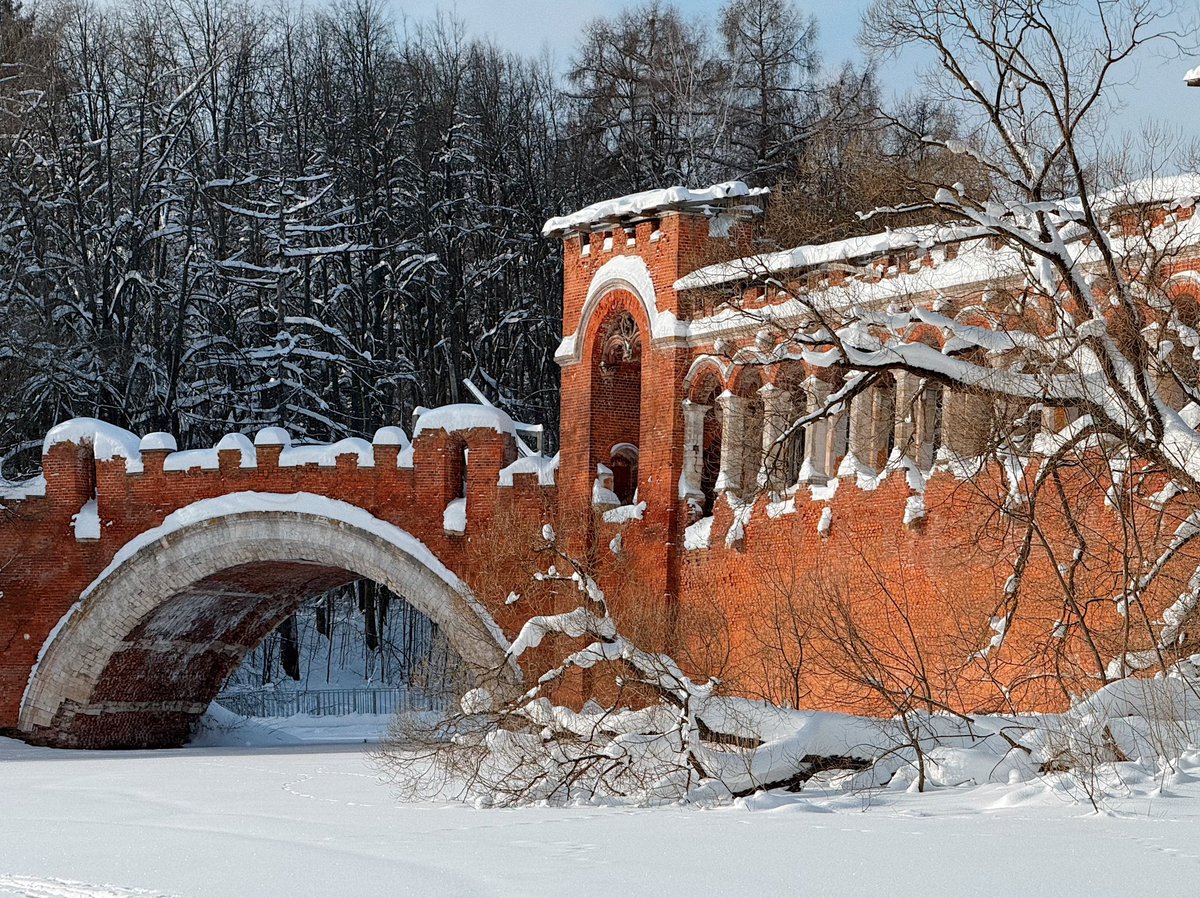 фуфендер tweet media