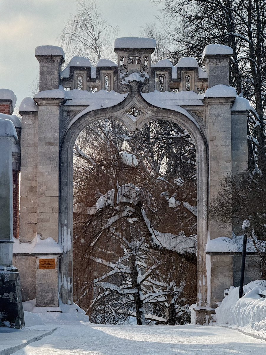 фуфендер tweet media