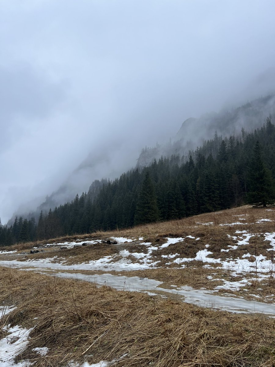 snoopffy's tweet image. Beautiful views from this past weekend that I spent hiking #GoOutside #PutTwitterDown #Breathe