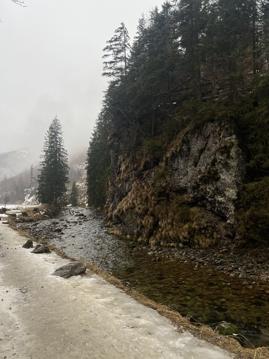 snoopffy's tweet image. Beautiful views from this past weekend that I spent hiking #GoOutside #PutTwitterDown #Breathe