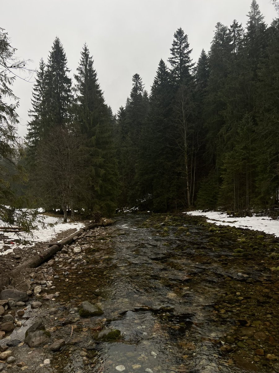 snoopffy's tweet image. Beautiful views from this past weekend that I spent hiking #GoOutside #PutTwitterDown #Breathe