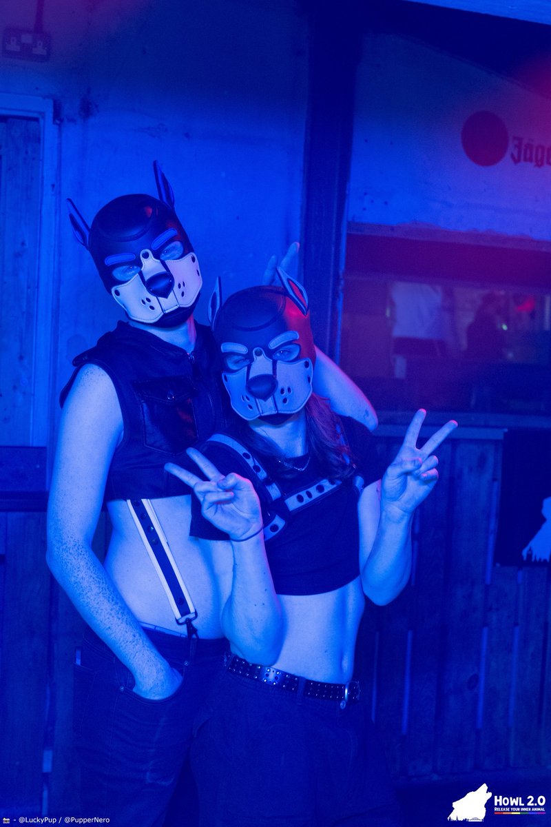 Pup Newt tweet media