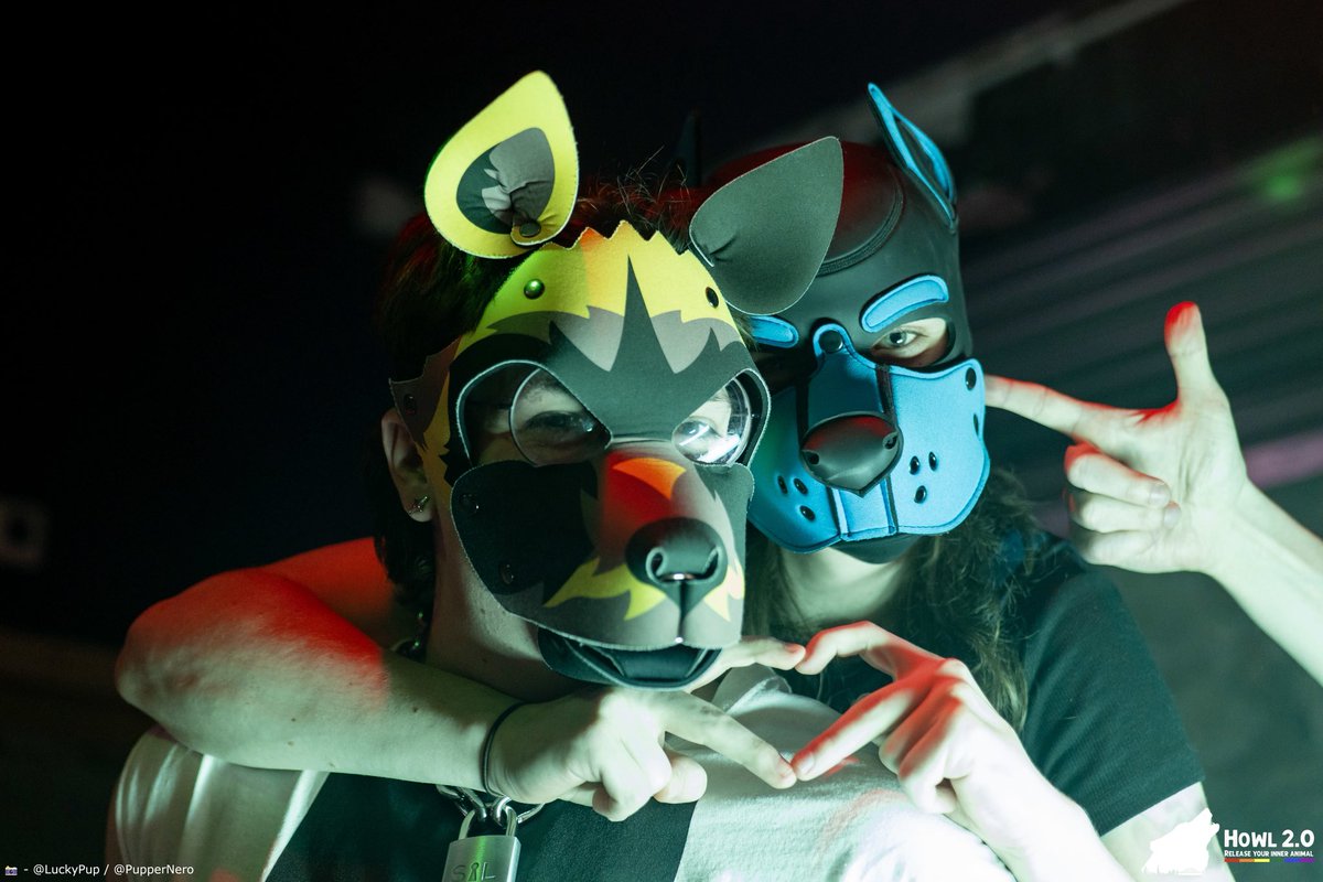 Pup Newt tweet media