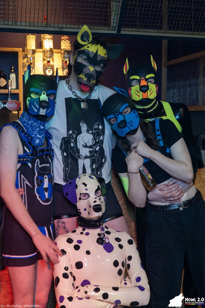 Pup Newt tweet media