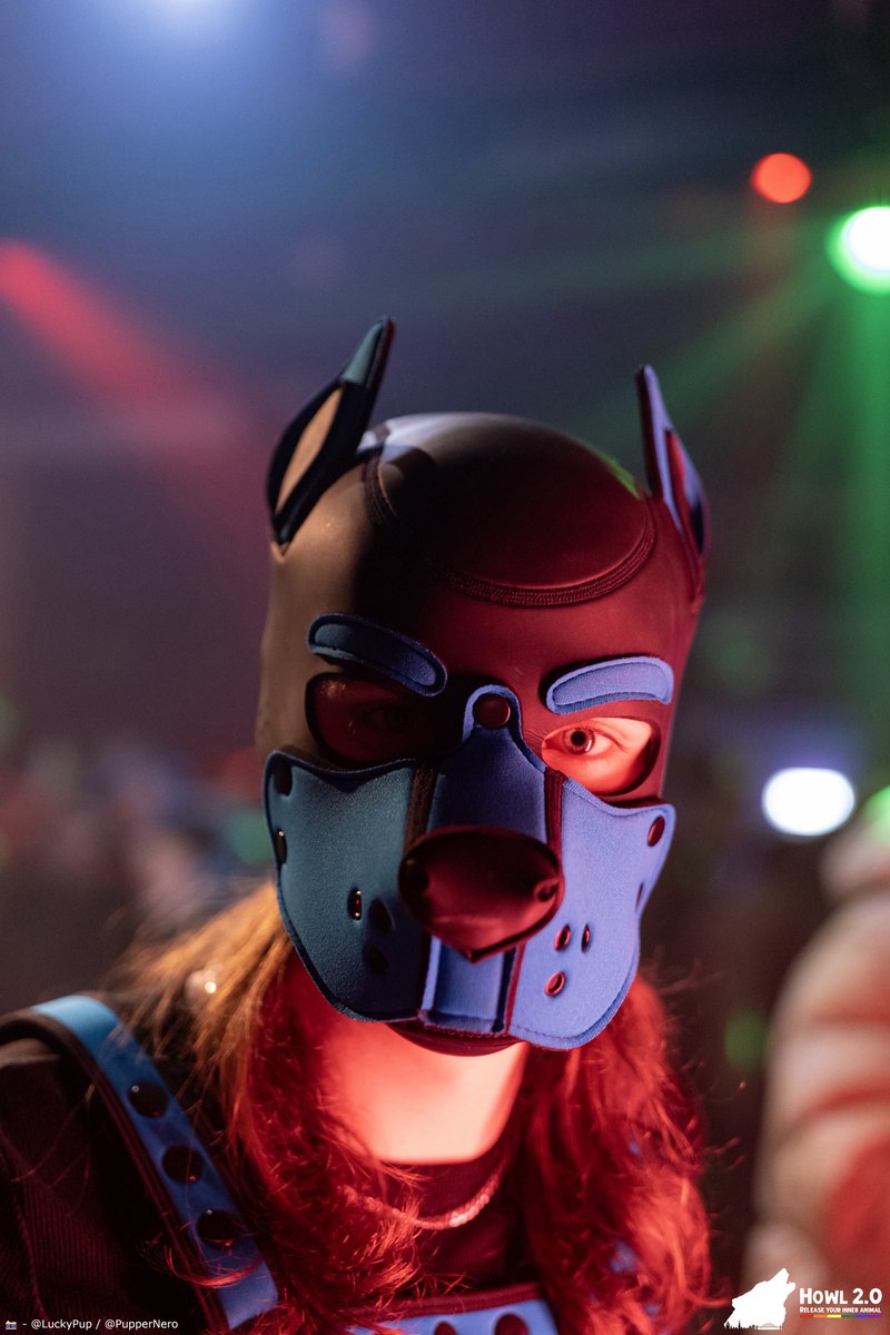 Pup Newt tweet media