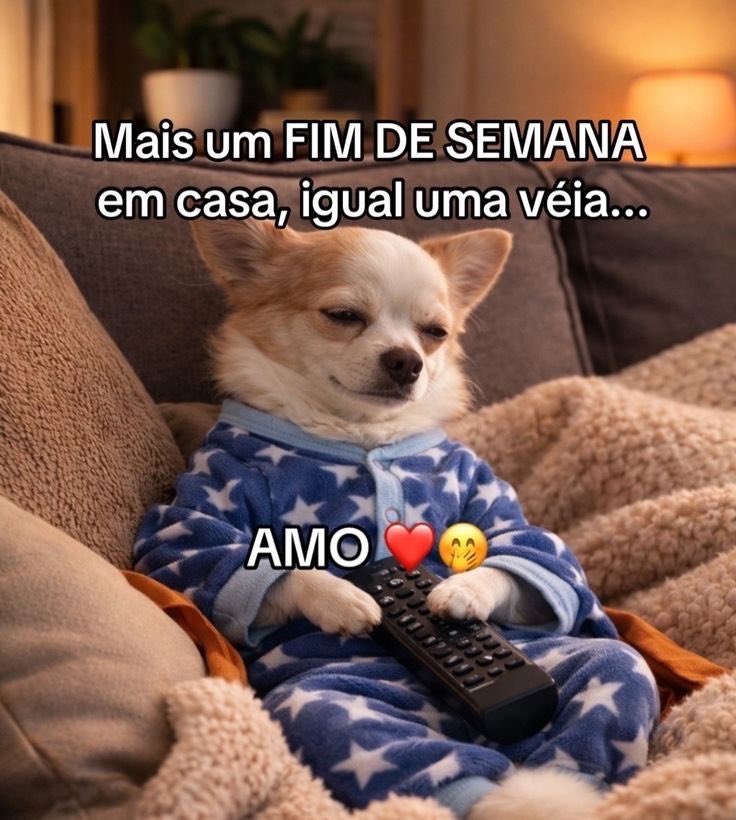 Pagina lixo (@paginalixo1) on Twitter photo 