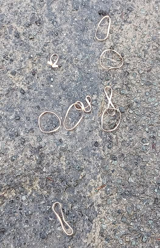 CJPProf's tweet photo. @thismorning  You know when you come across Frog or Toad spawn that's been regurgitated by a predator, usually a bird, and sometimes called 'Star jelly'?
Well, we found these outside the house today, and we're very worried about the Postie. https://t.co/97lEafyevh