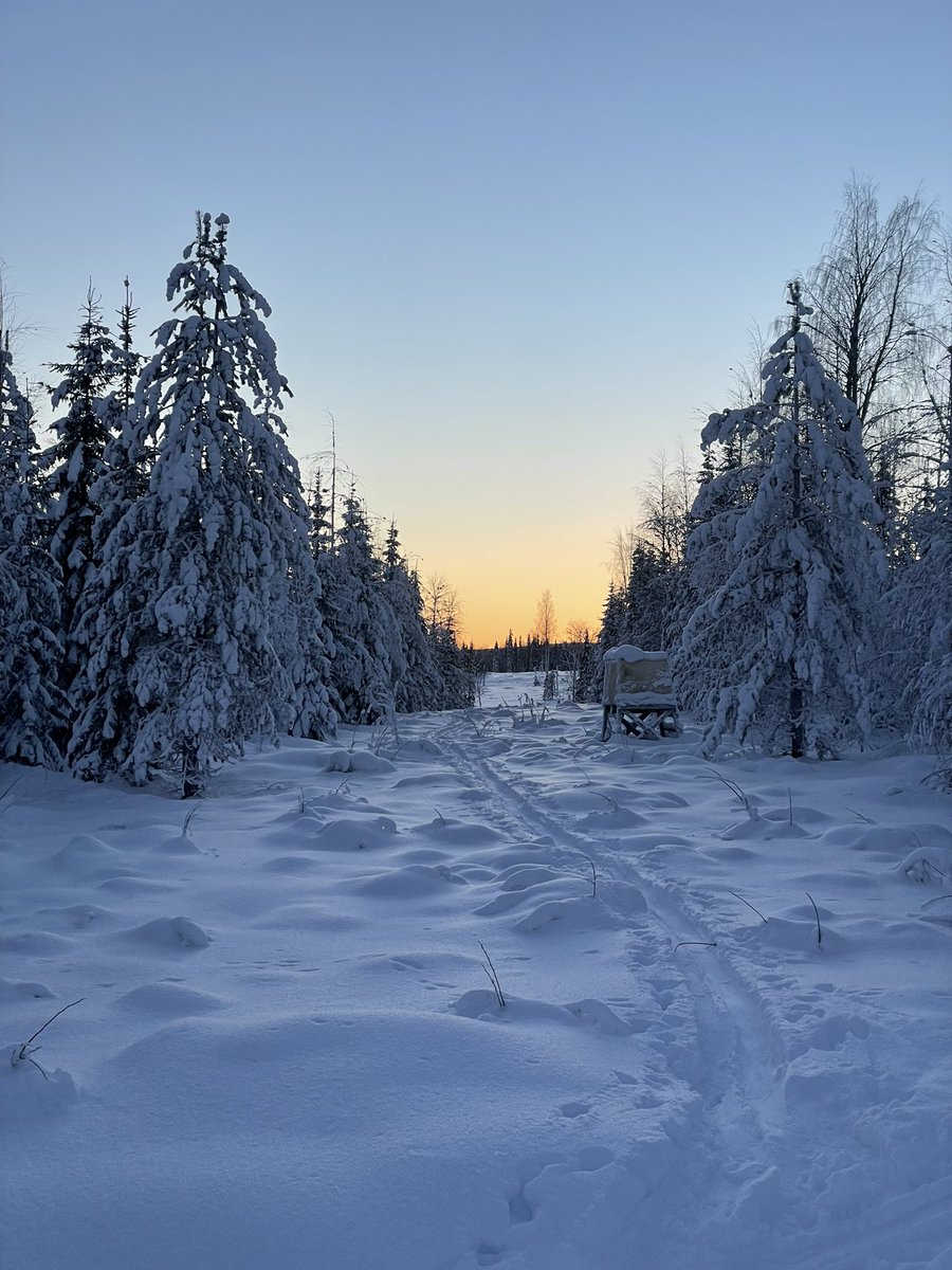 Tuomo.Saarni 🇺🇦🇫🇮 tweet media