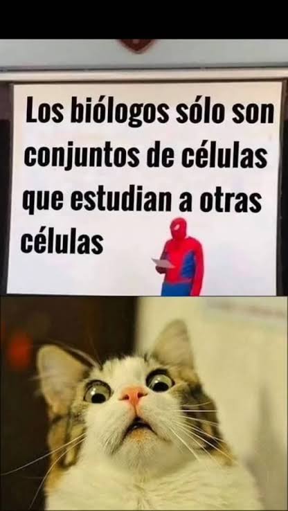 OMAR_XD101's tweet photo. @BiologiaDesde0 https://t.co/2AKsPT1ZXg