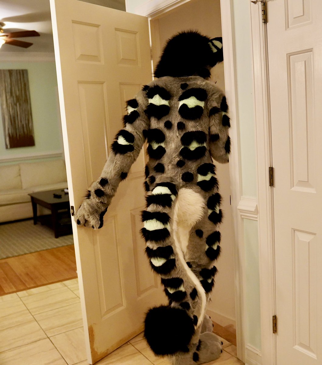 SpeedySnep tweet media