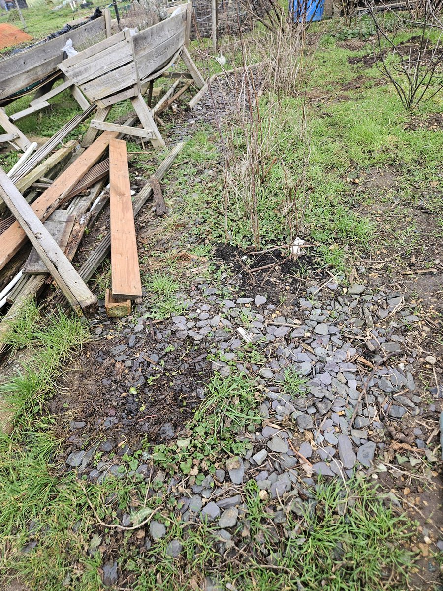 GrowingRogueUK's tweet photo. Oh, Winter, curse your thankless #Allotment jobs... I know I'll appreciate once I've repaired this old path in the fruit cage area, but I really do not enjoy this work! Delayed gratification is not ADHD friendly. https://t.co/AhUWRI5MCJ