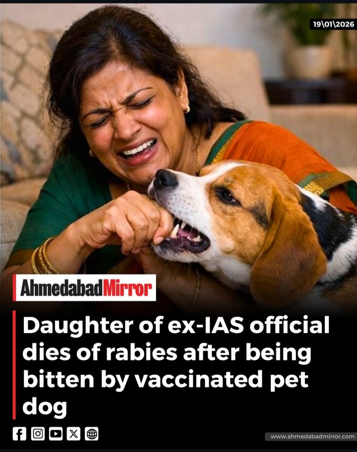 What's the point in keeping a pet dog ?