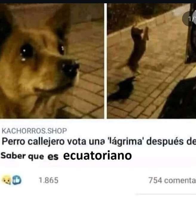 CJ (@ciyiei) on Twitter photo 