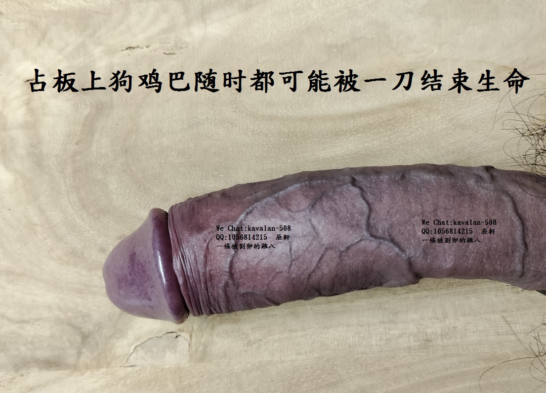 cutmyegg's tweet photo. 占板上的狗鸡巴 https://t.co/Dh6AGrtm9w