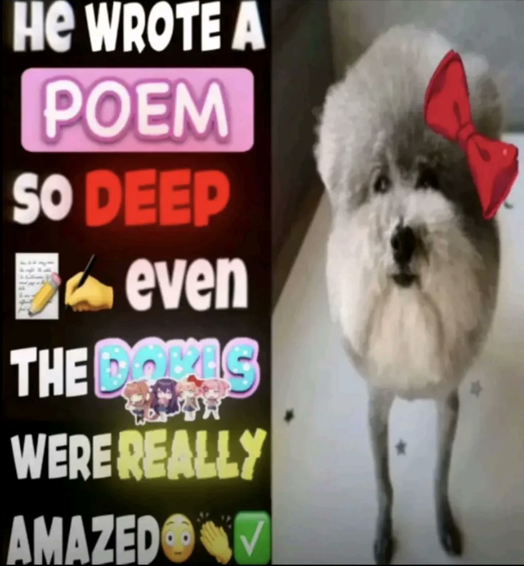 WooHooLad 🐺 || FINAL STRETCH TILL RETURN🥺 🤏 (@woohoolad) on Twitter photo 