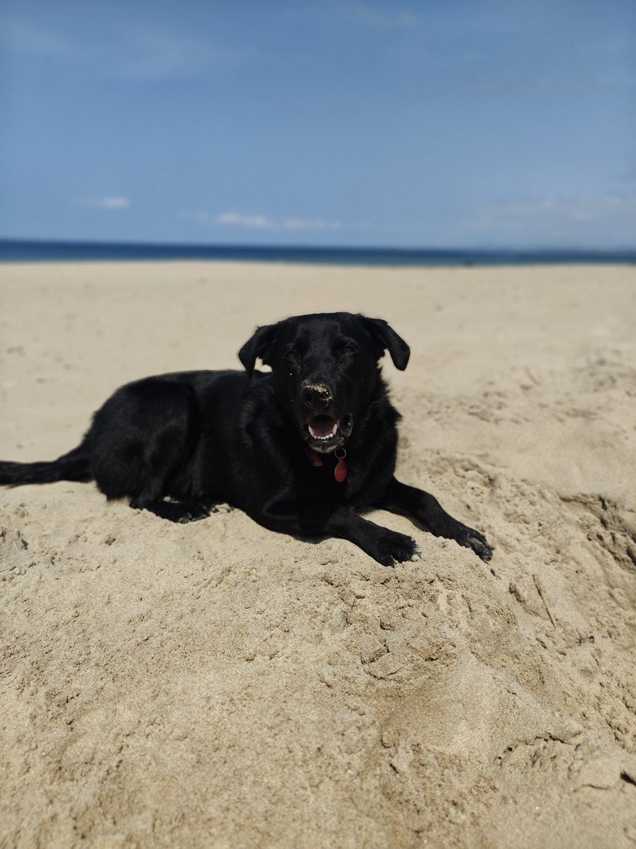 Michelle Clancy tweet media