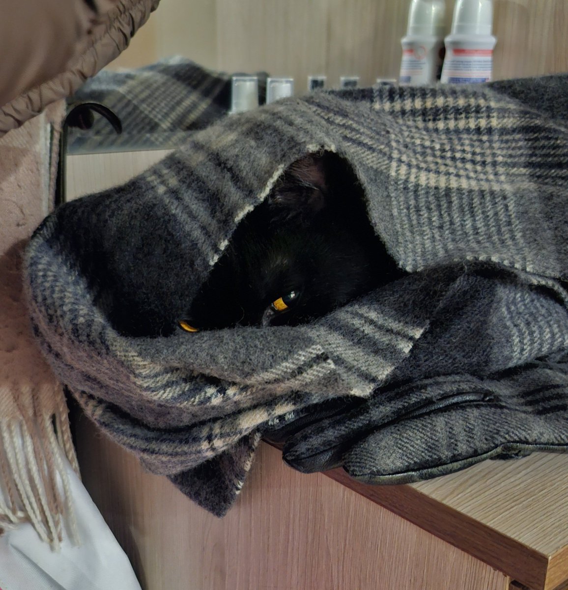 Ты чувствуешь взгляд на себе. Обернувшись, ты замечаешь таинственного незнакомца, щедро  закутанного в одежды. Он здесь точно не просто так. В воздухе повисает напряжённая тишина