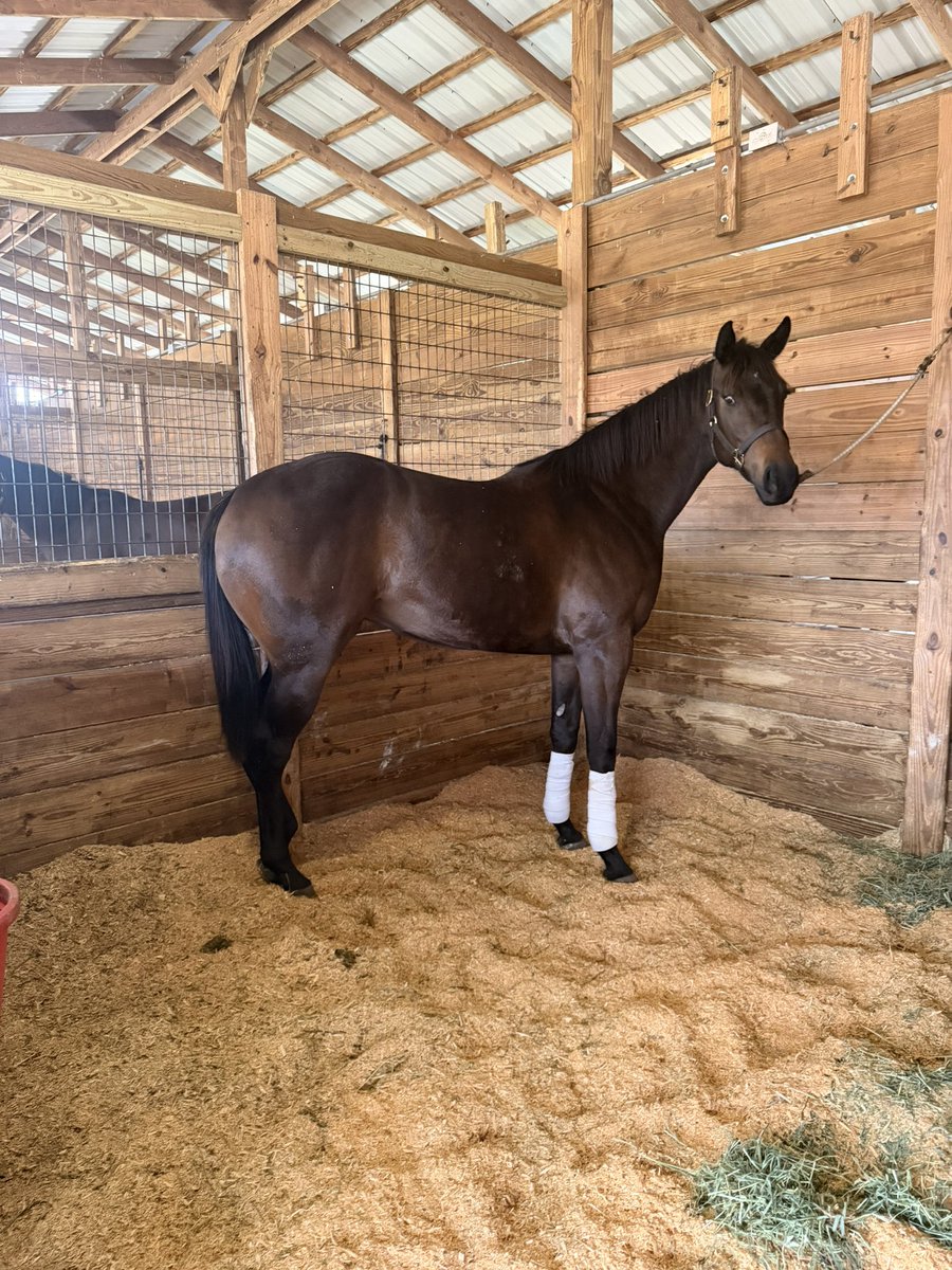 Top Line Sales tweet media