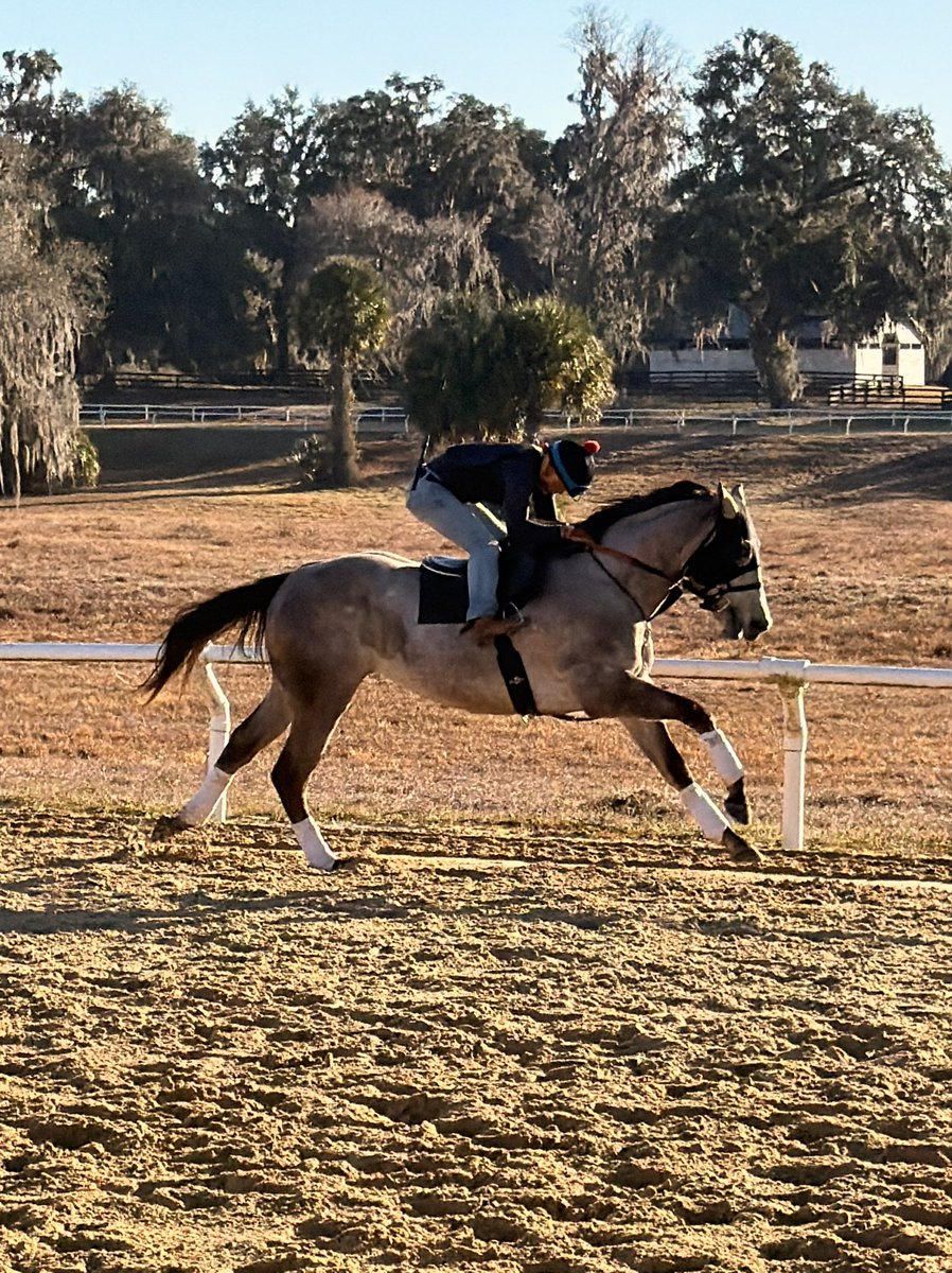 Top Line Sales tweet media