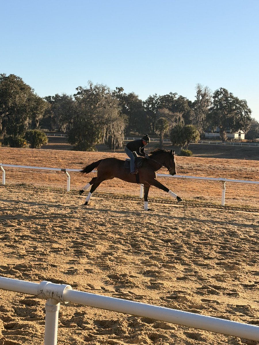 Top Line Sales tweet media