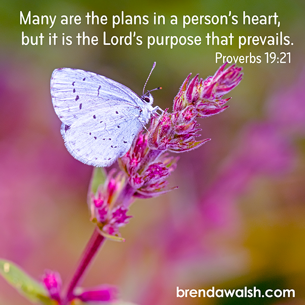 brendakwalsh's tweet photo. Today's Daily Scripture Picture: Master Plan
Proverbs 19:21 – “Many are the plan’s in a person’s heart, but it is the Lord’s purpose that prevails.”
#Christianity #scripture #verse #verseoftheday #bibleverse #bibletext #biblestudy #life #plan #choice #purpose #prevail #divine https://t.co/A786a5KkSC