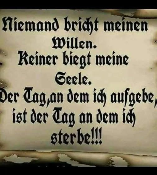 👆