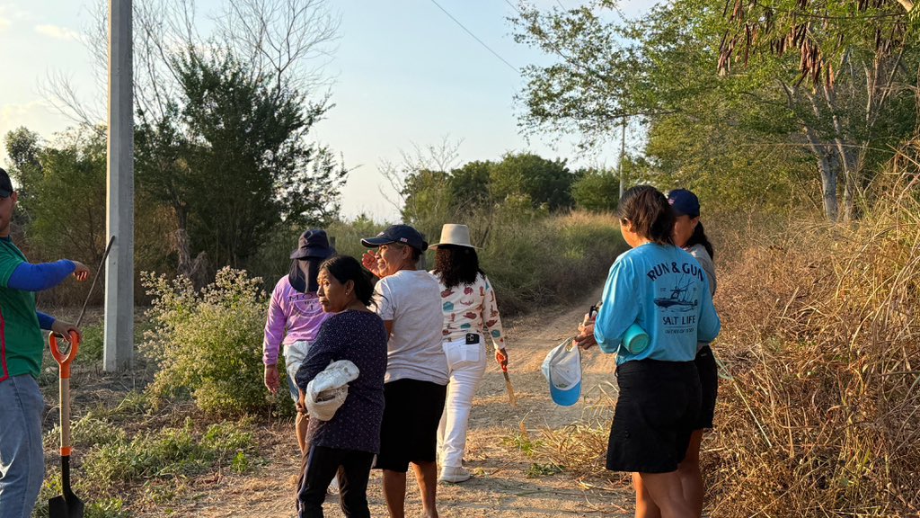 Iniciamos nuestro domingo en #Tequio de limpieza y desyerbe del camino que conduce a la Playa de Tilzapote; una comunidad que se distingue por su trabajo cooperativo y defensa de su comunidad. 

#OaxacaTierraDeGenteTrabajadora