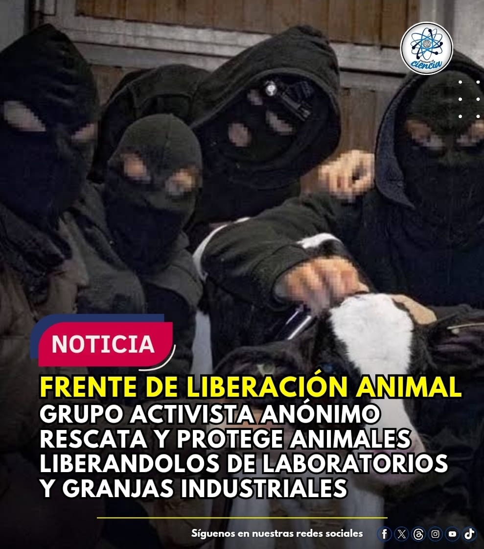 Enséñame de Ciencia tweet media