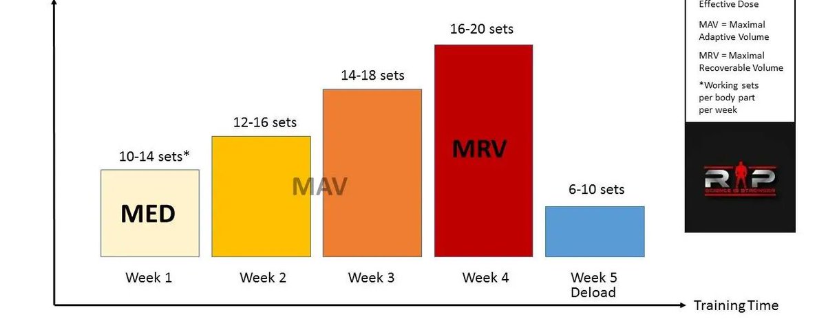 The Ultimate Guide to Training Volume