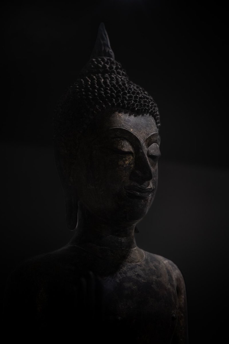 Buddha Project tweet media