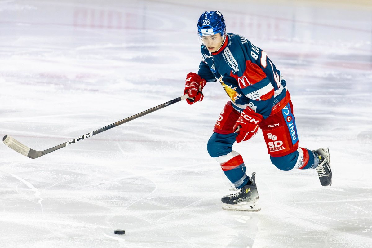 Jos etsitte korvaajaa <a href="/PorinAssat/">Porin Ässät</a> 👀