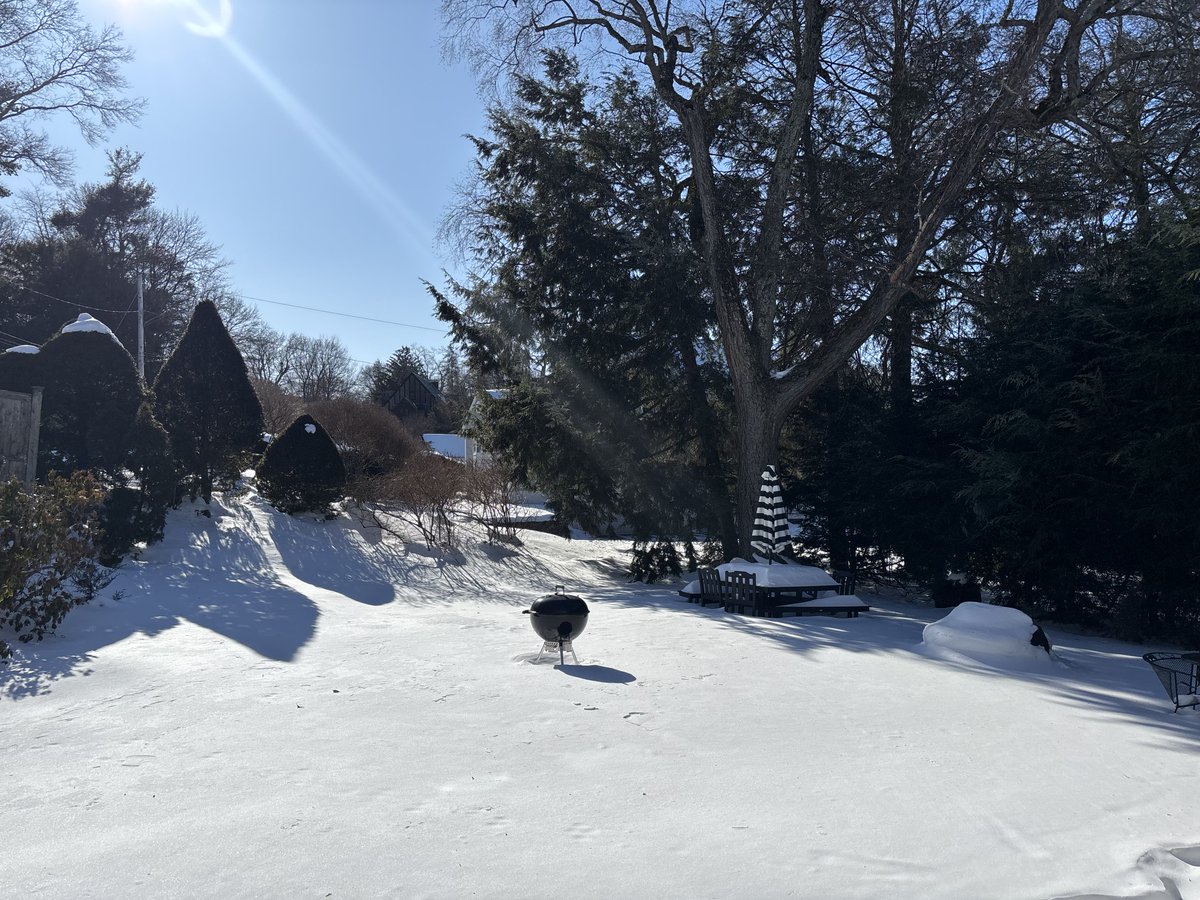 Mark D. Siegel tweet media