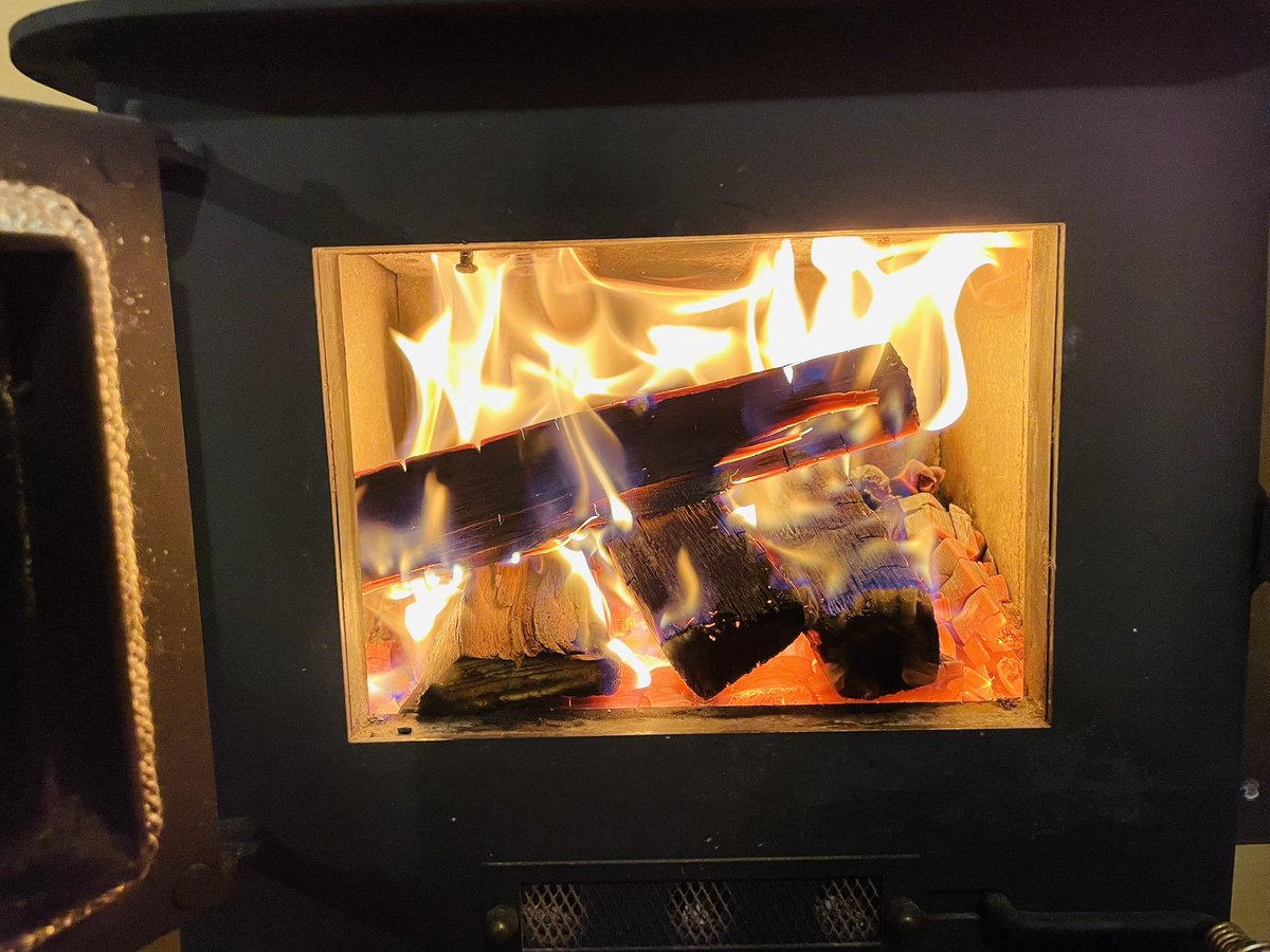 Spent the weekend in a treehouse in the middle of a winter wonderland! The views were amazing, but the -35C temps hit hard 🥶❄️