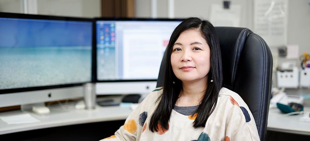 ISDN 2027 Conference tweet media