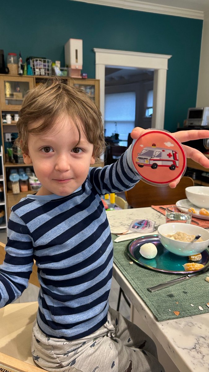 Jerina Pillert (she/her) tweet media