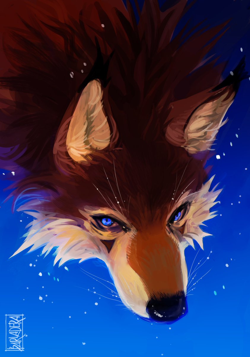 Barladera (@barladera) on Twitter photo 