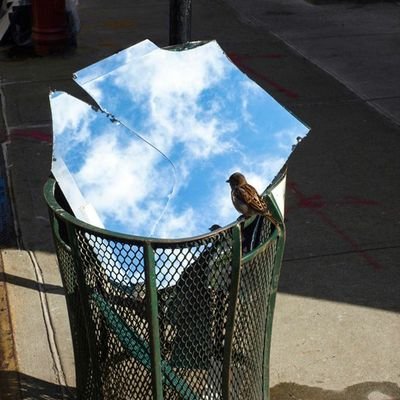 T.O.M.I 🐐 (@dhat_tomi) on Twitter photo 