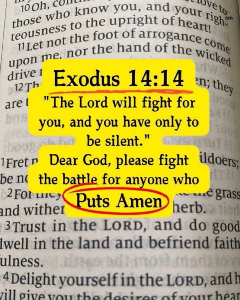 Bible 365 (@bible365_) on Twitter photo 