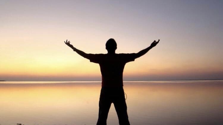 vieafond tweet media