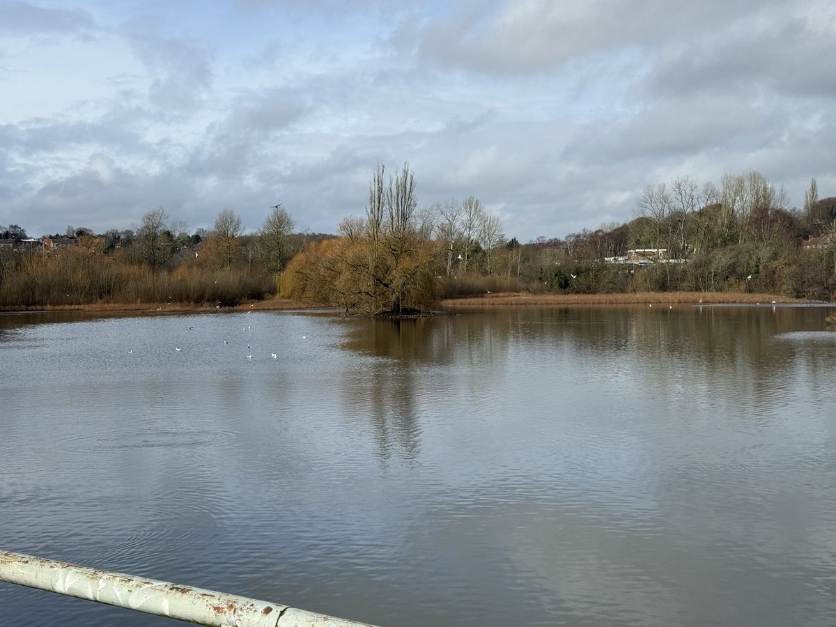 🛟Open Water Related incidents & advice🛟 tweet media