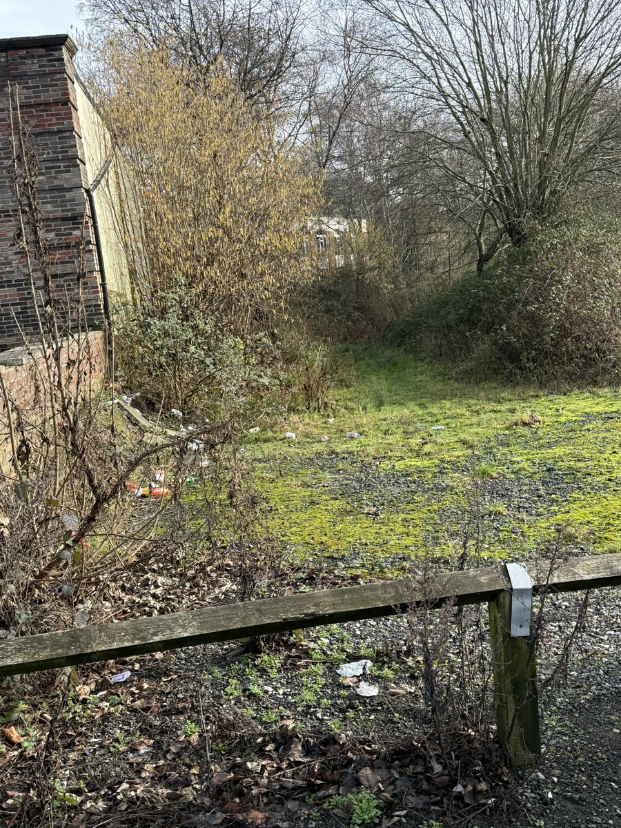 🛟Open Water Related incidents & advice🛟 tweet media