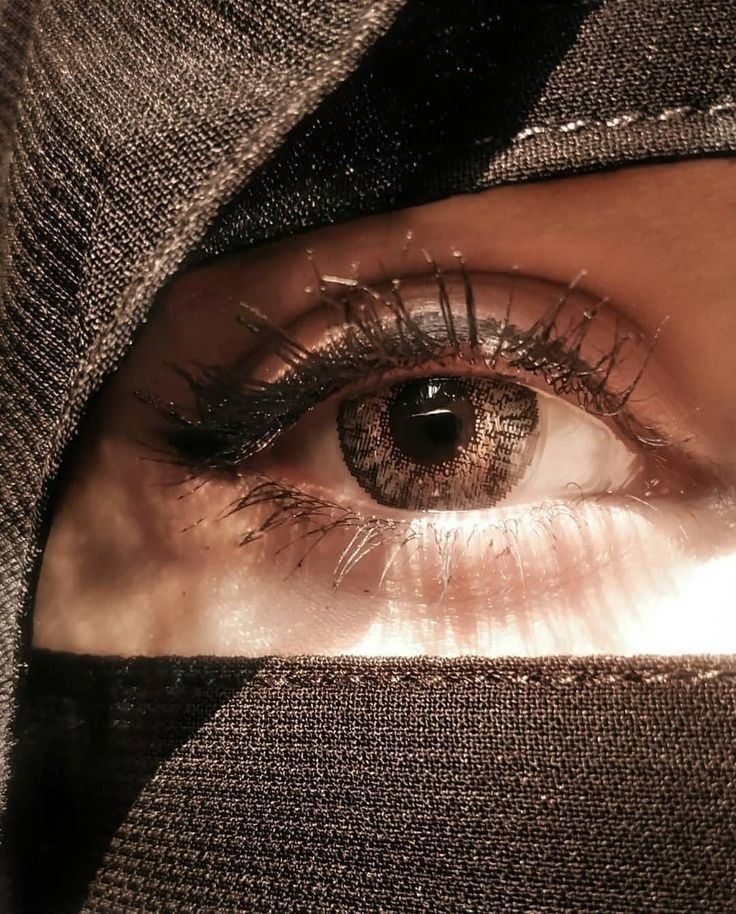 حُسن ہی لے ڈوبا تھا فقط یوسف کو
بھلا پيغمبر بھی بازاروں میں بکا کرتے ہیں