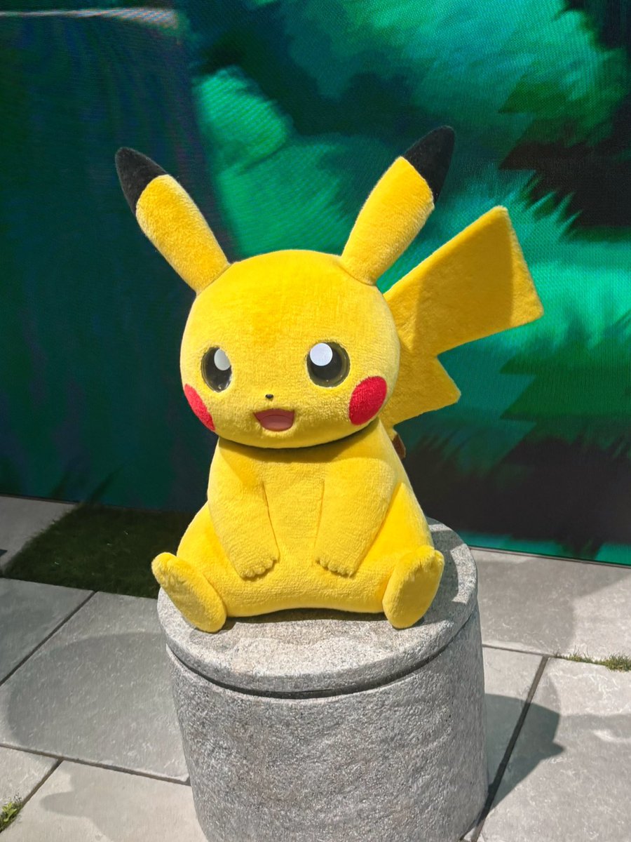 NagiEnglish's tweet photo. I bought very cute earrings from Pokémon Center⚡️ https://t.co/LUWbm1fhIF