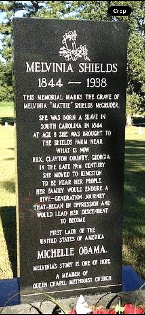 Ted Dagne tweet media