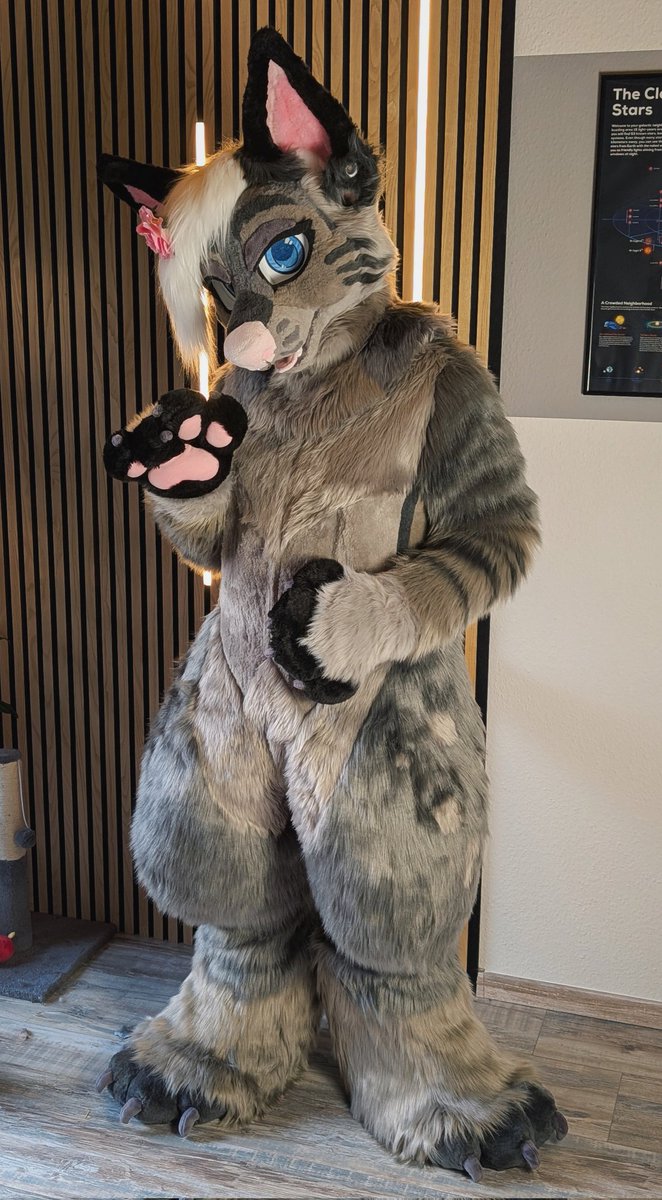 Rothritter tweet media