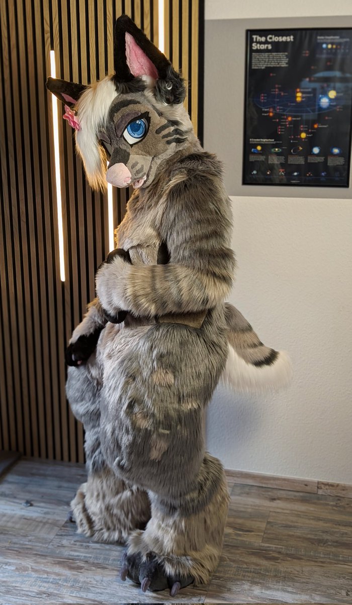 Rothritter tweet media