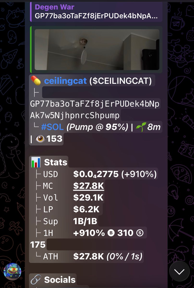 DegenWar01's tweet photo. CA>> GP77ba3oTaFZf8jErPUDek4bNpAk7w5NjhpnrcShpump
#memecoin #solana #Degen https://t.co/sccZfbjt0S