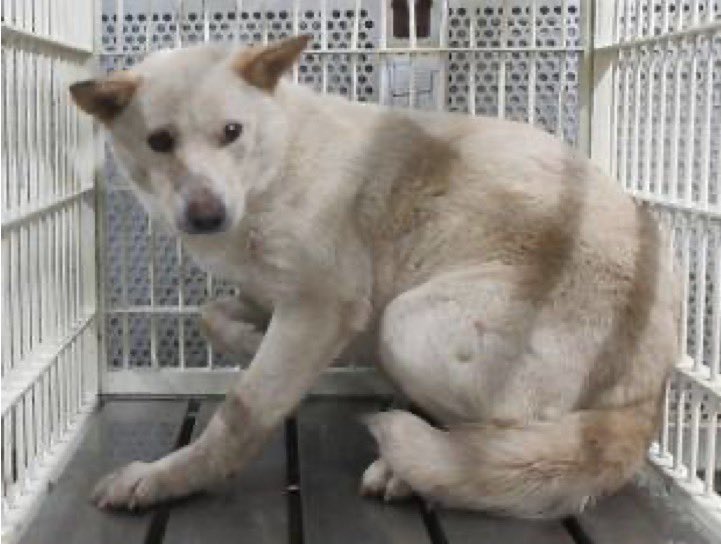 No more culling! tweet media