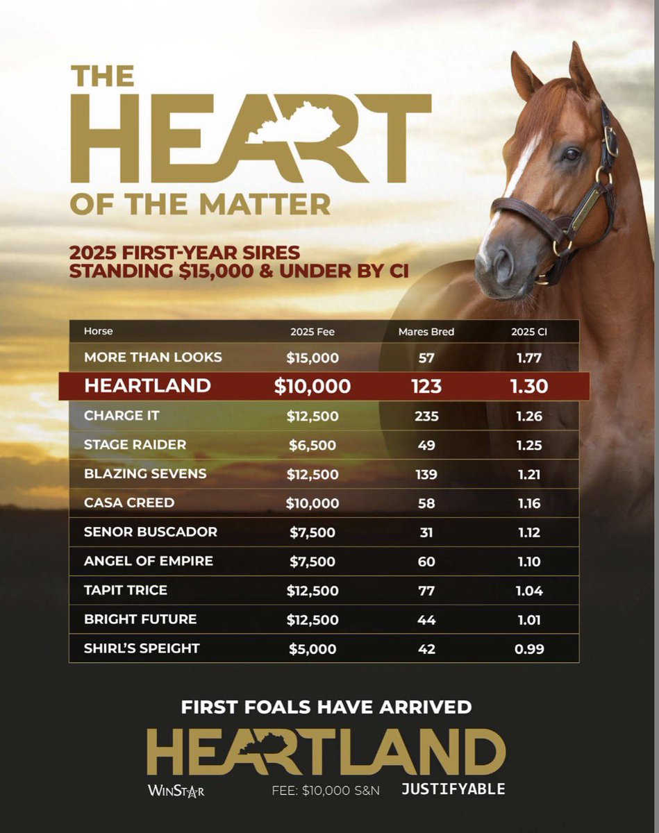 theTDN's tweet photo. The Heart of the Matter 

First foals by ♥️Heartland have arrived! 

📍 @WinStarFarm https://t.co/wqCN4xM7JT