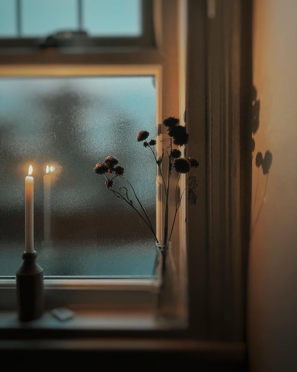 “I love the silent hour of night, 
For blissful dreams may then arise, 
Revealing to my charmed sight 
What may not bless my waking eyes.” 

~ Anne Brontë